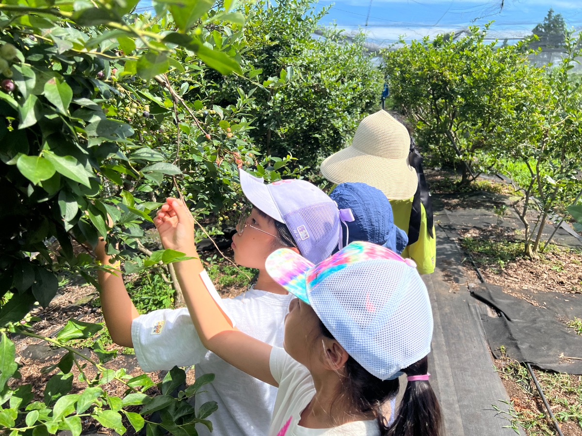 KakaoTalk_20250801_095255074_01