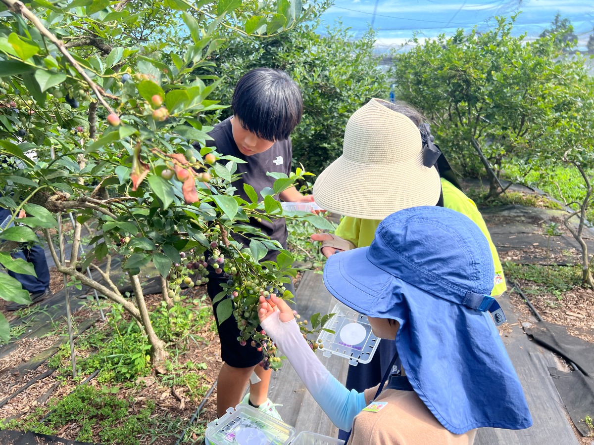 KakaoTalk_20250801_095255074_02