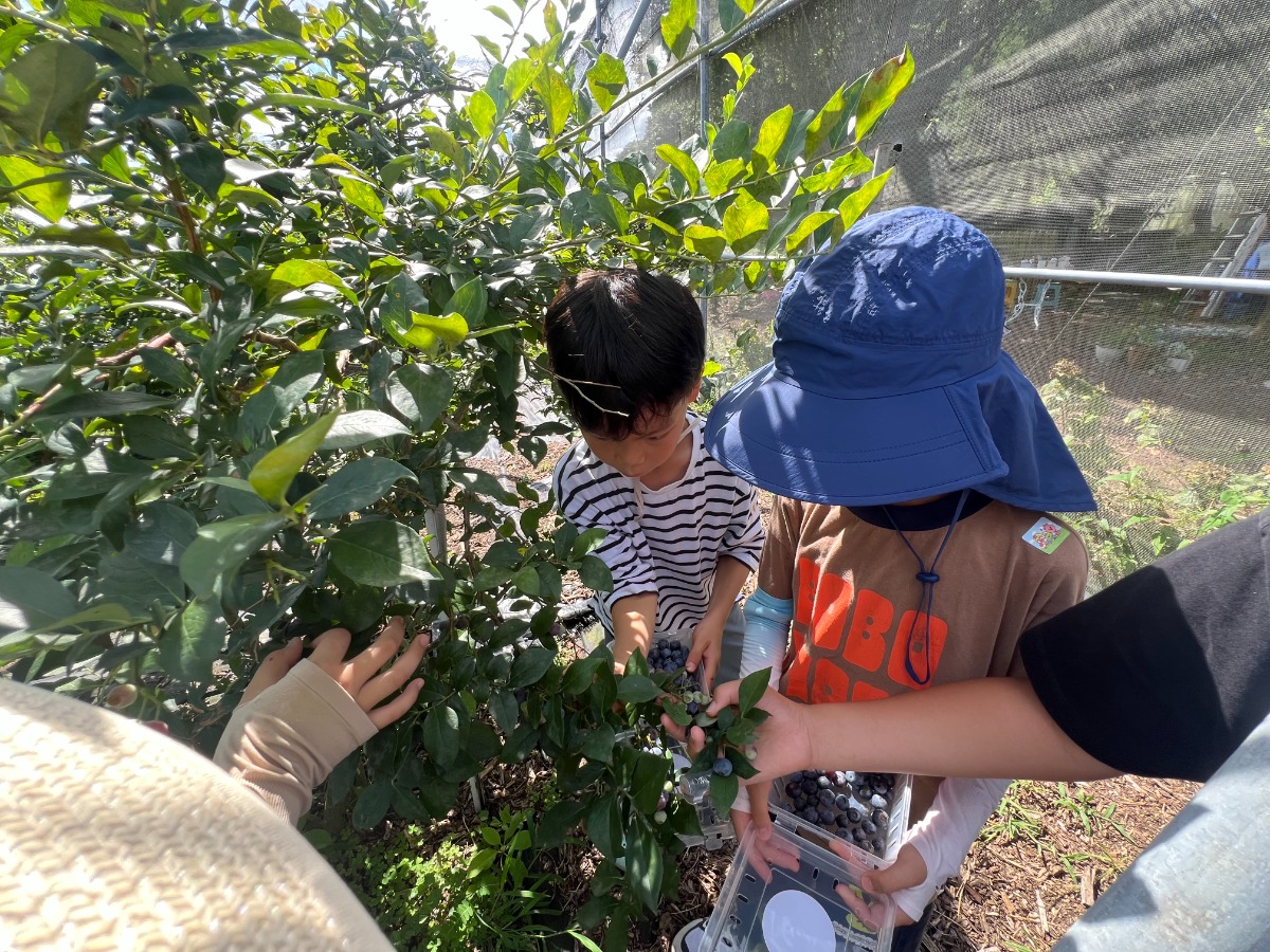 KakaoTalk_20250801_095255074_03