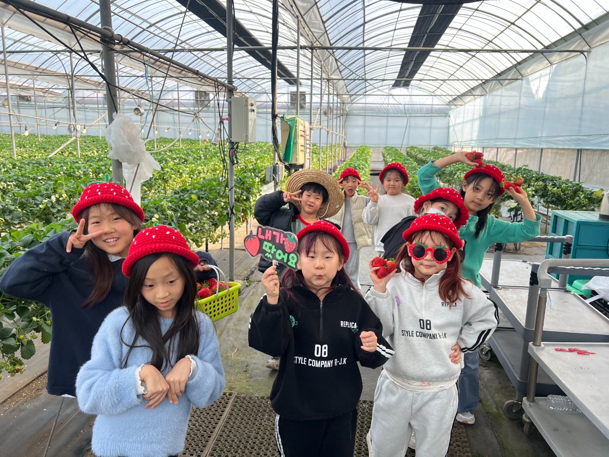 딸기체험농장(체험 프로그램)