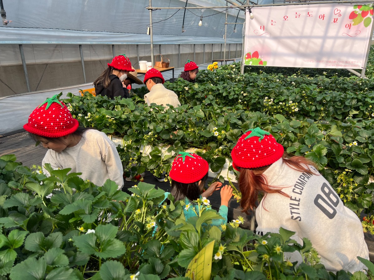 KakaoTalk_20260324_102513088_02