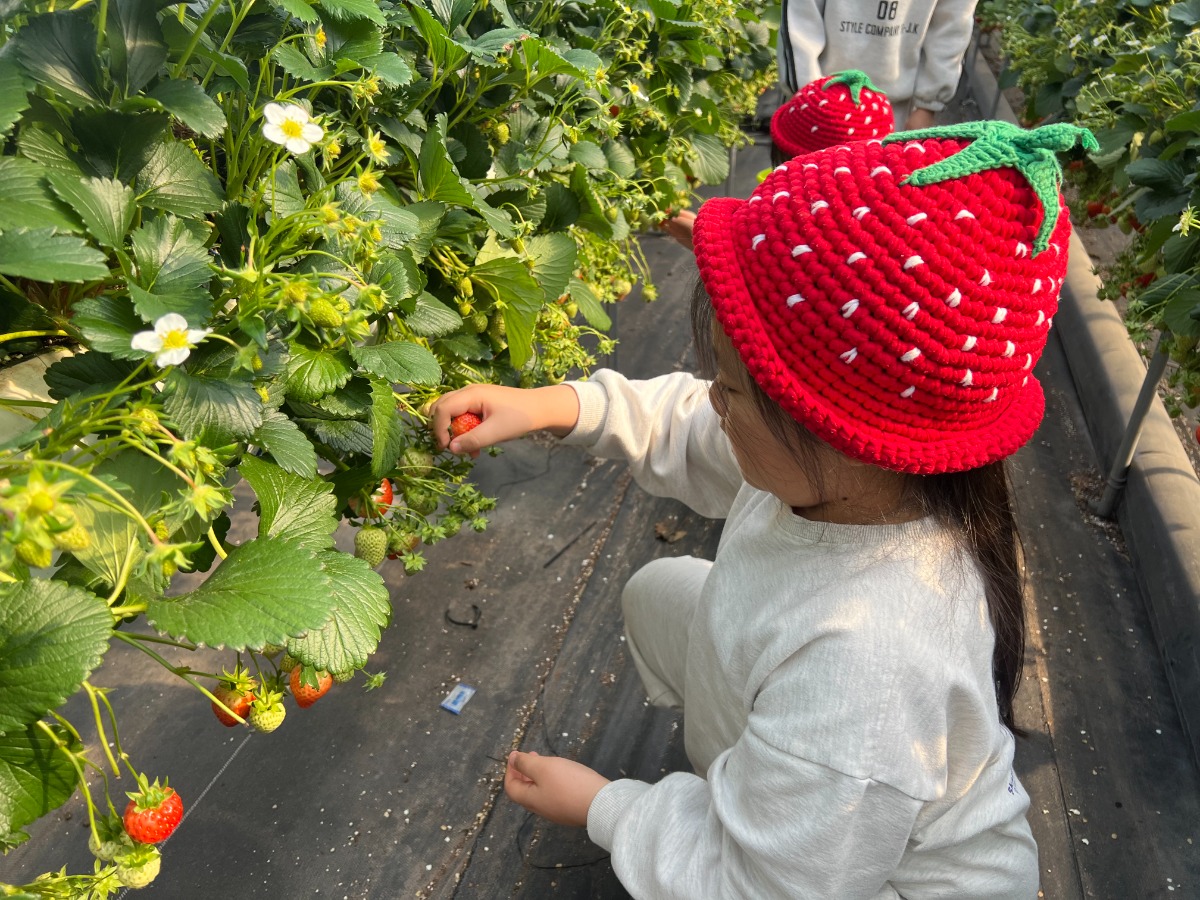 KakaoTalk_20260324_102513088_07