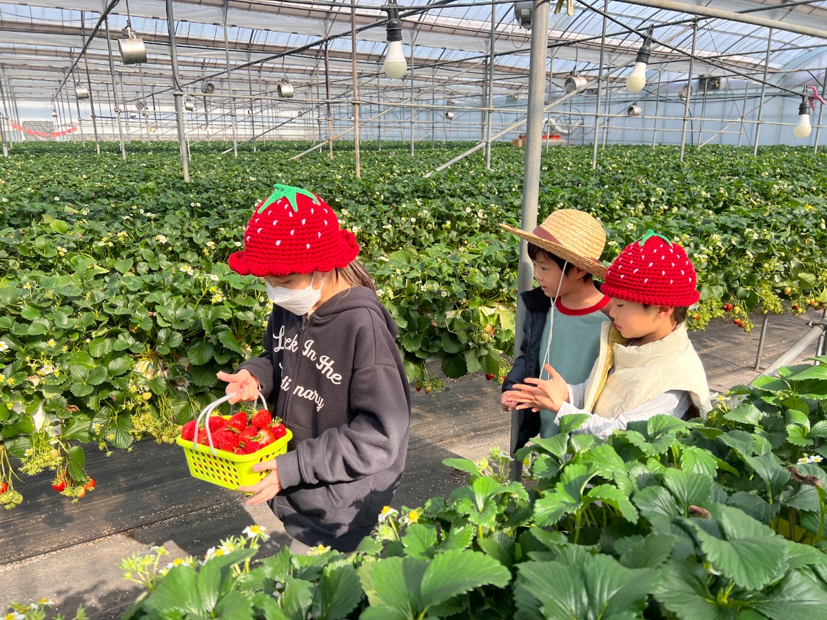 KakaoTalk_20260324_102513088_19