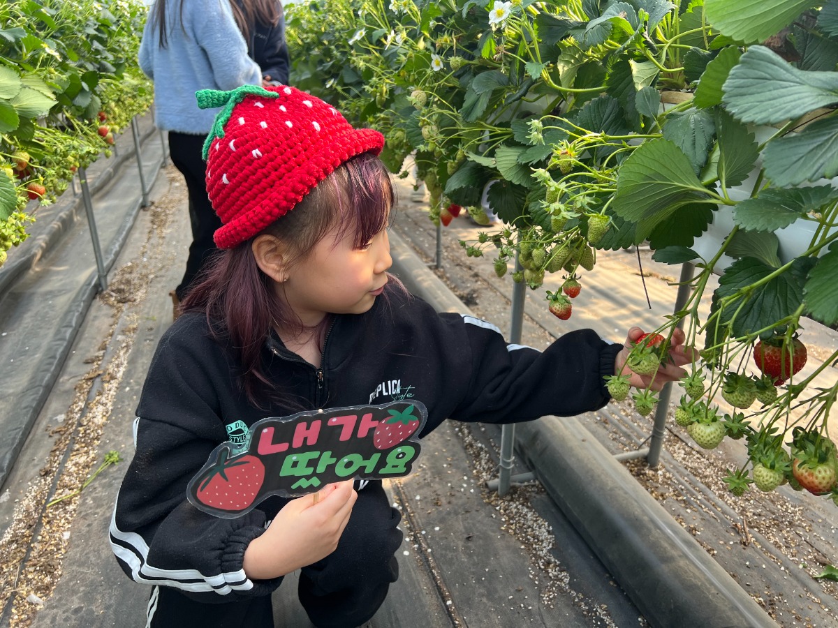 KakaoTalk_20260324_102513088_23